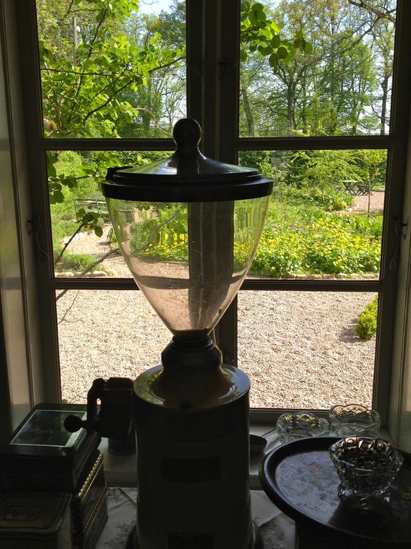 Hagstad野玫瑰花与母鸡旅馆住宿加早餐旅馆 外观 照片