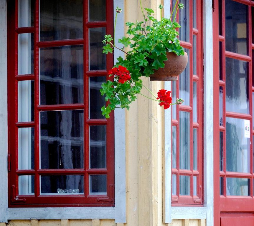 Hagstad野玫瑰花与母鸡旅馆住宿加早餐旅馆 外观 照片