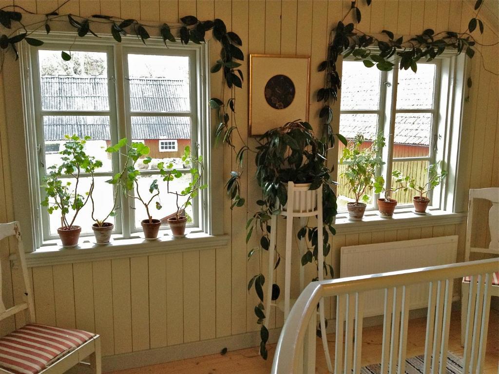 Hagstad野玫瑰花与母鸡旅馆住宿加早餐旅馆 外观 照片